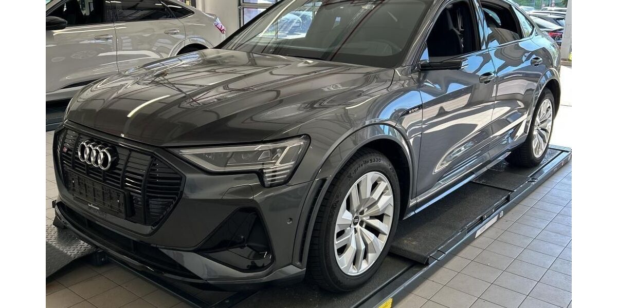 Audi e-tron 45.969 km 41.844 &euro; Hagen 58091