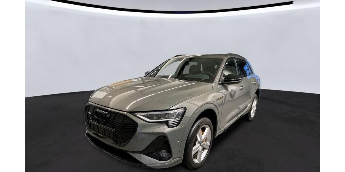 Audi e-tron 73.578 km 36.802 &euro; Hagen 58091