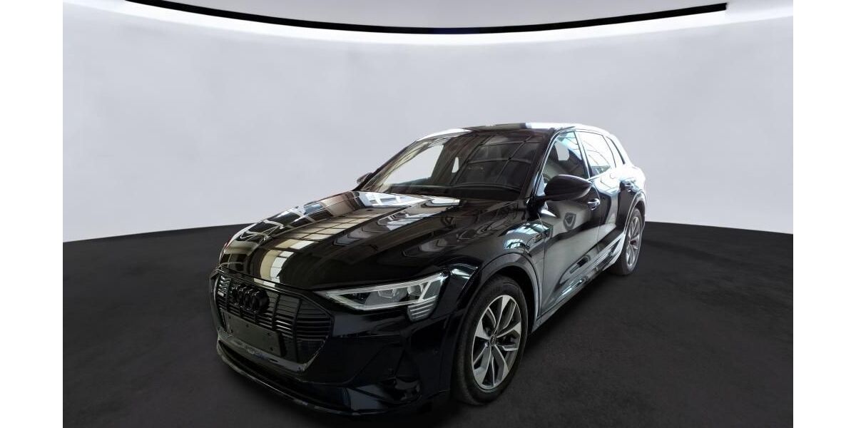 Audi e-tron 76.896 km 33.796 &euro; Hagen 58091