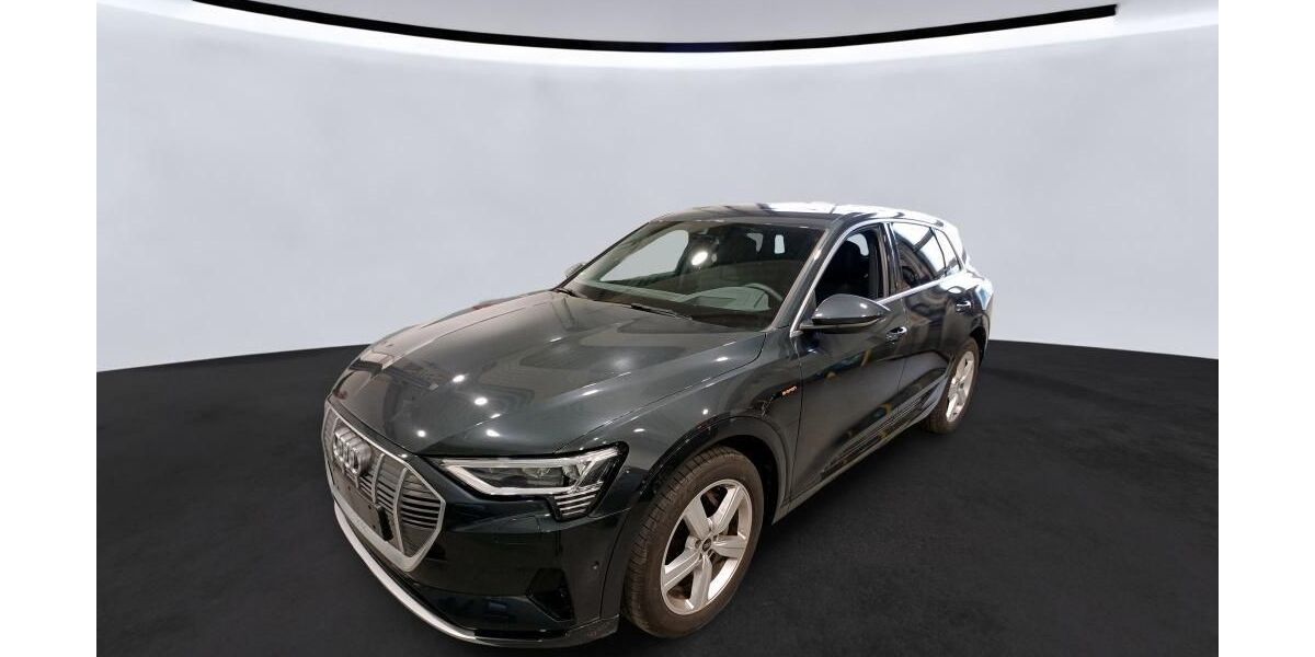 Audi e-tron 13.261 km 40.844 &euro; Hagen 58091