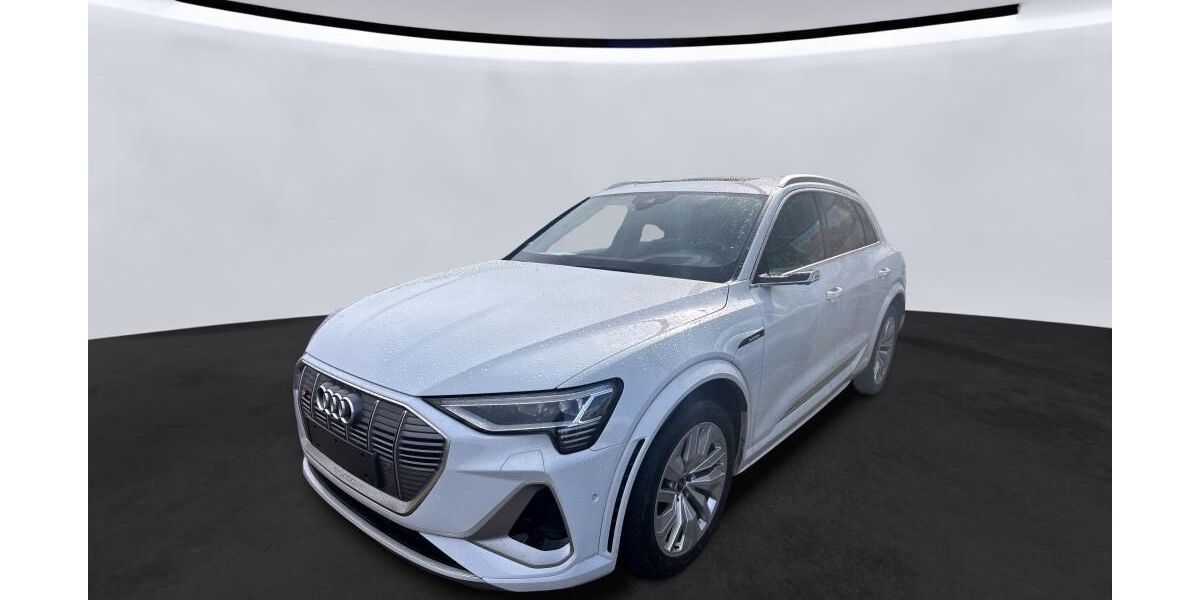 Audi e-tron 81.489 km 37.826 &euro; Hagen 58091