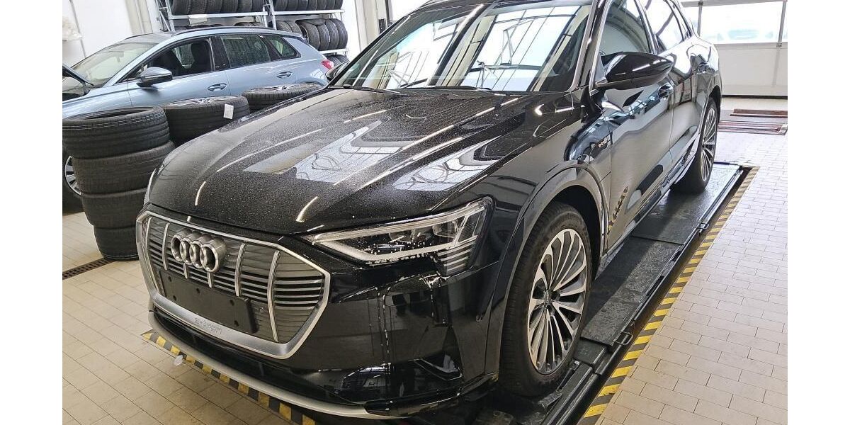 Audi e-tron 33.538 km 32.603 &euro; Hagen 58091