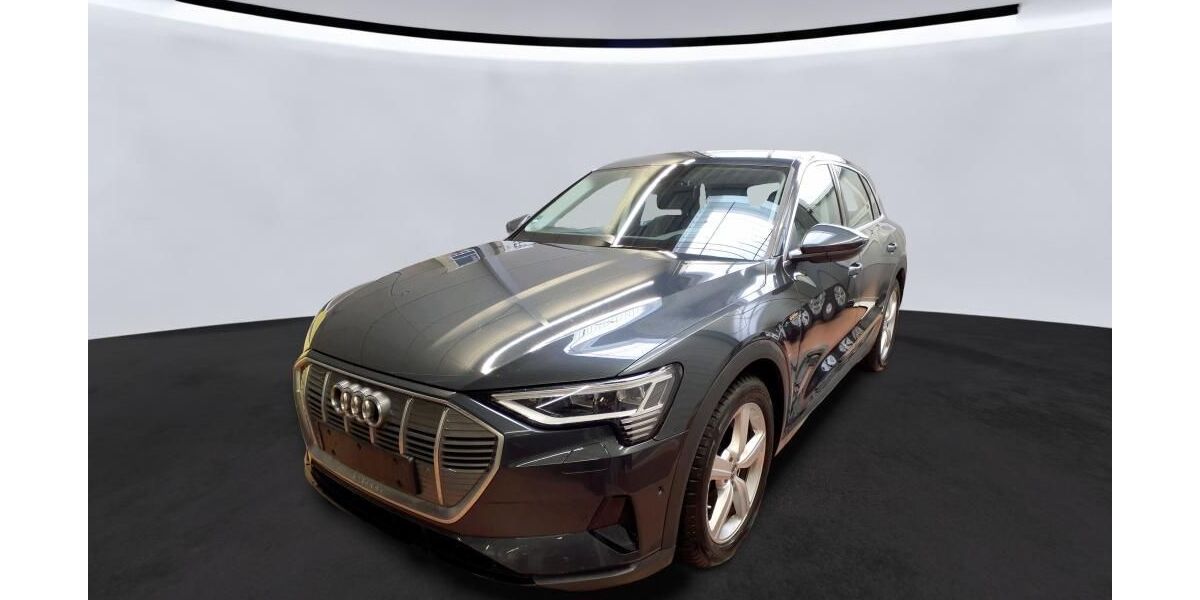 Audi e-tron 26.541 km 35.877 &euro; Hagen 58091
