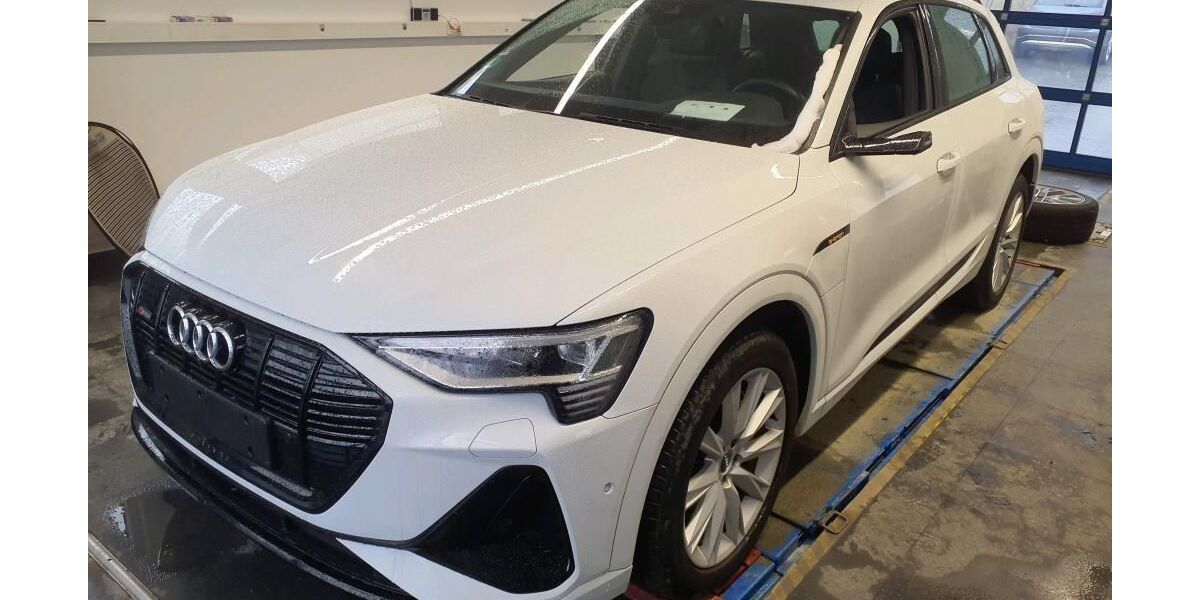 Audi e-tron 52.575 km 36.919 &euro; Hagen 58091