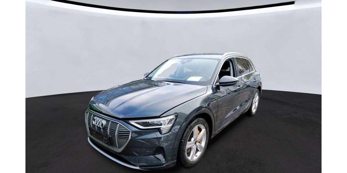 Audi e-tron 32.493 km 34.933 &euro; Hagen 58091