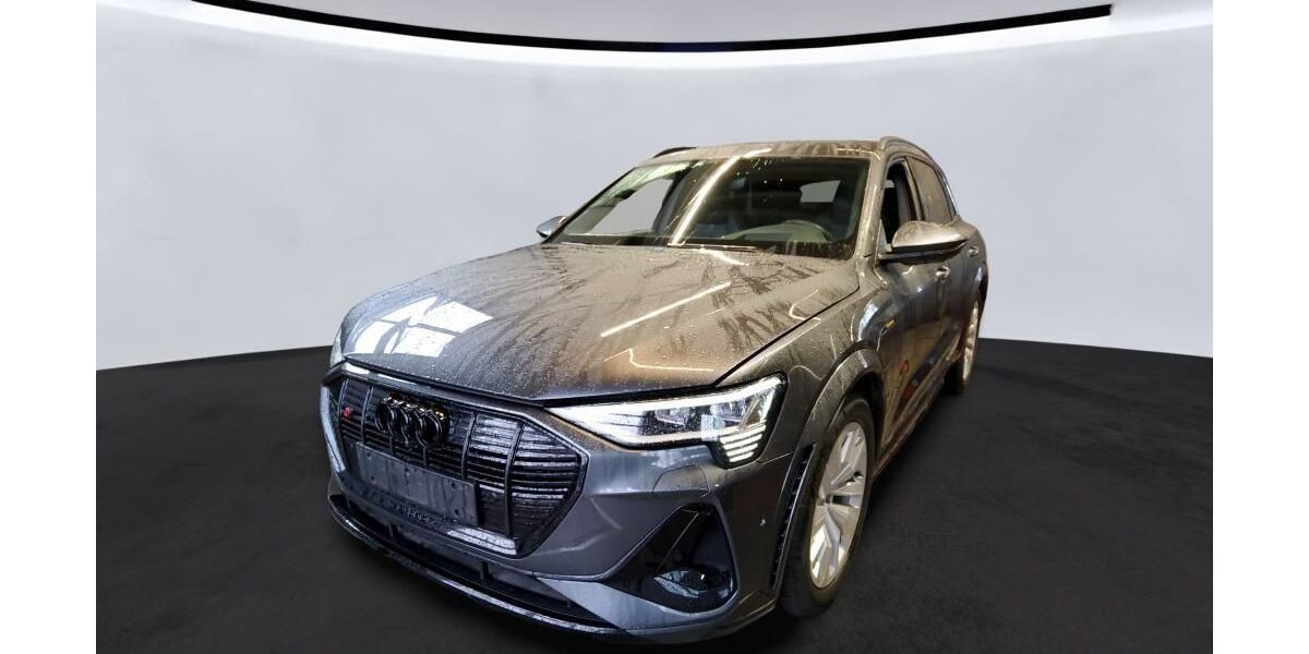Audi e-tron 95.685 km 38.934 &euro; Hagen 58091